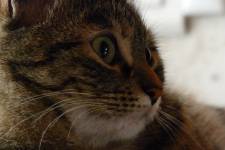 Brigitte VALENTIN - Chez Brigitte