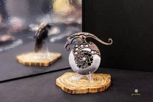 Laurent GALLIANO - PROXILUZ