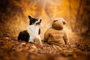 Alena GUIGNABODET - NA MOON PICTURES